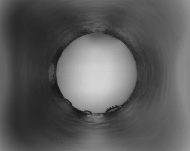 X0000088910480200707061349