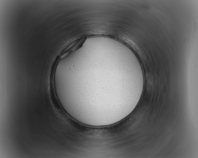 X0000088910482200707061348