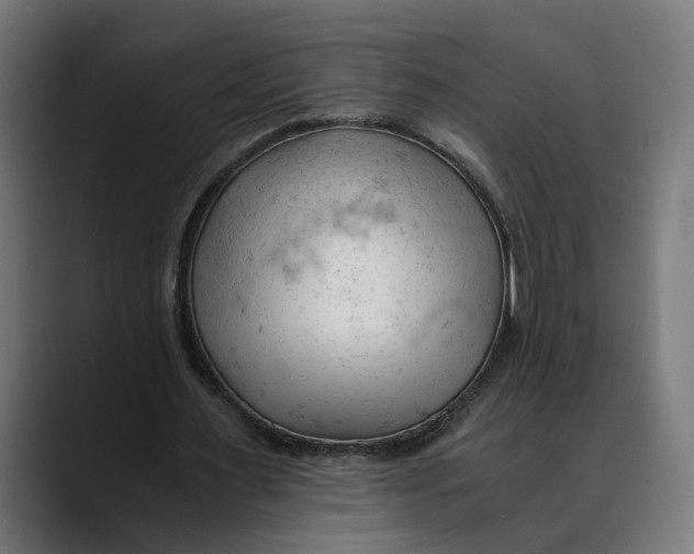 X0000088910483200707061348