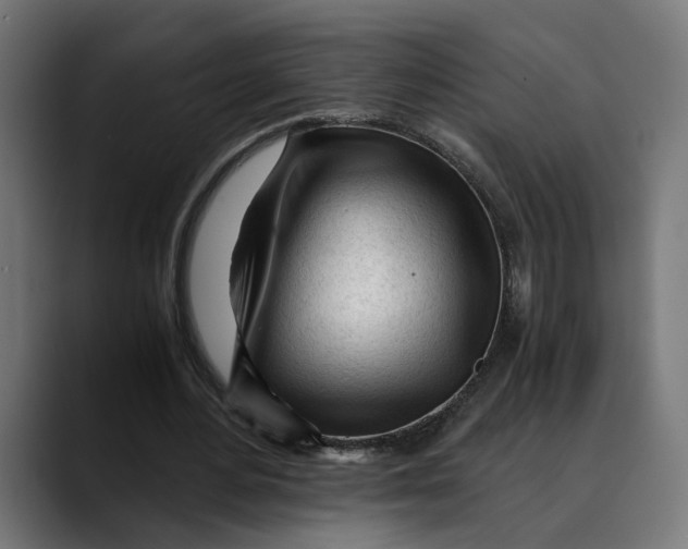 X0000088910484200707061348