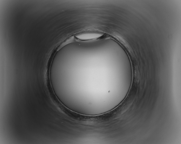 X0000088910485200707061348