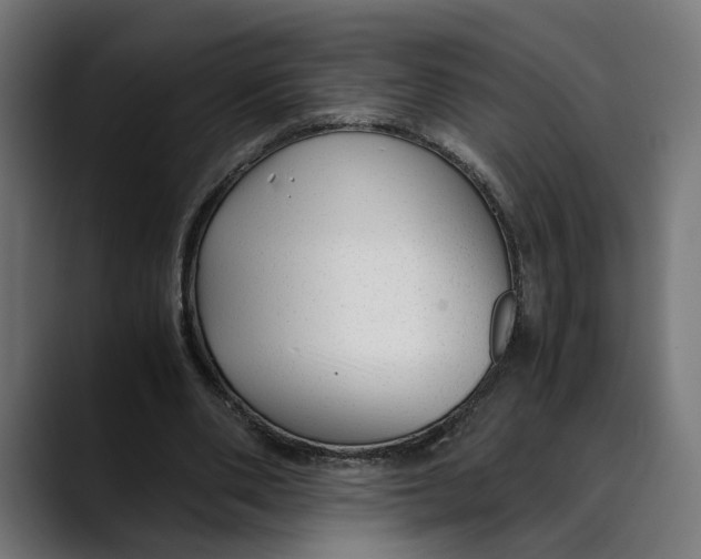 X0000088910486200707061348