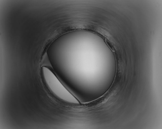 X0000088910489200707061348