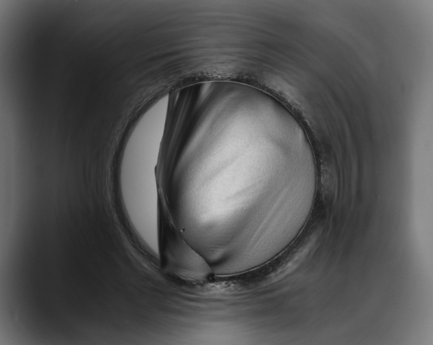 X0000088910493200707061348