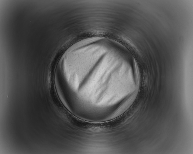 X0000088910494200707061348