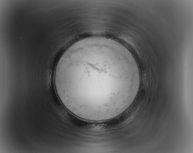 X0000088910495200707061348