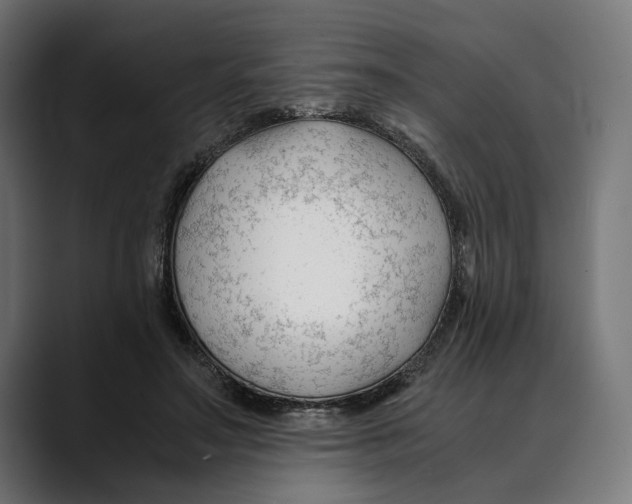 X0000088910499200707061348