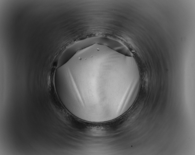 X0000088910500200707061348