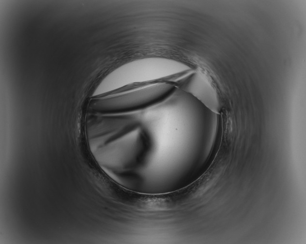 X0000088910501200707061348