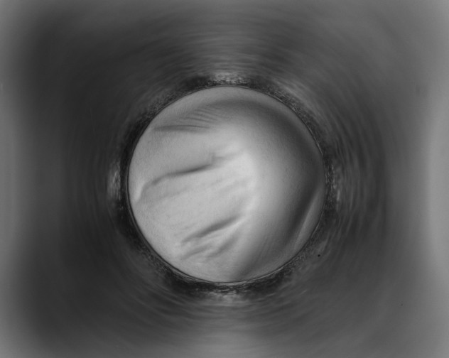 X0000088910502200707061348