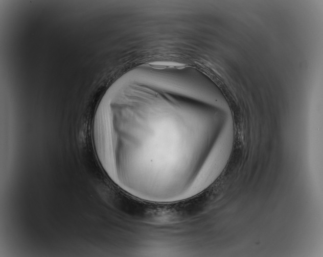 X0000088910503200707061348