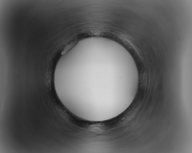 X0000088910505200707061348