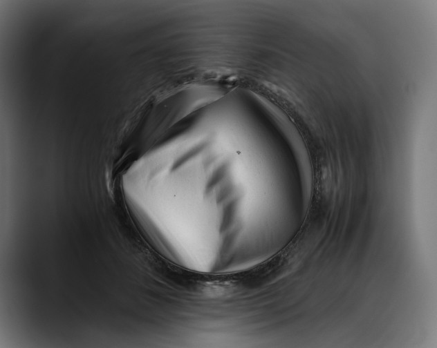 X0000088910508200707061348