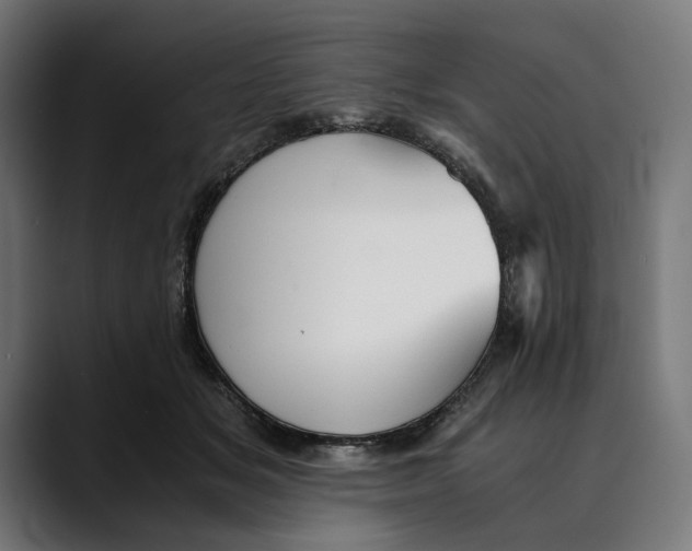 X0000088910509200707061348