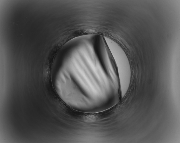 X0000088910513200707061348