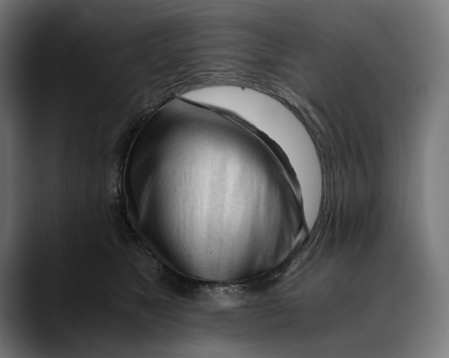 X0000088910517200707061348