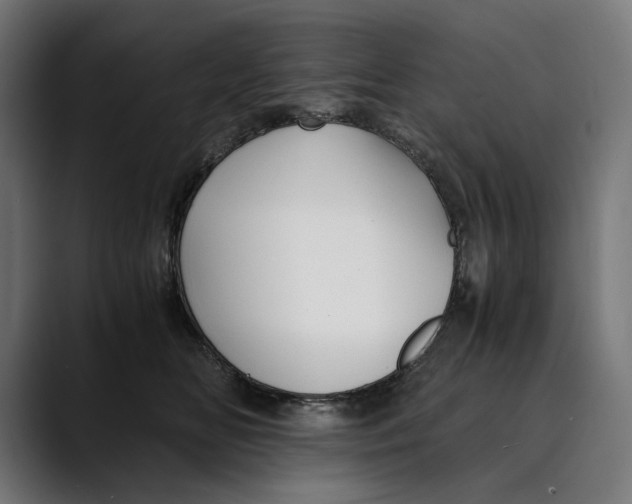 X0000088910518200707061348