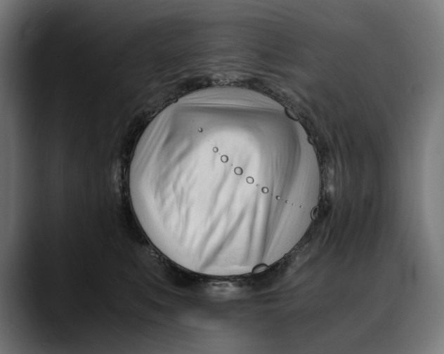 X0000088910519200707061348