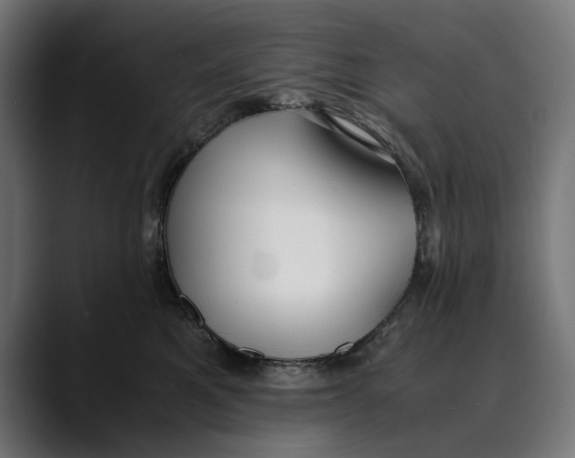 X0000088910521200707061348