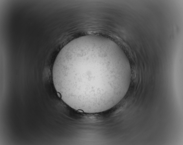 X0000088910523200707061347