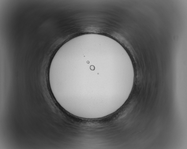 X0000088910529200707061347