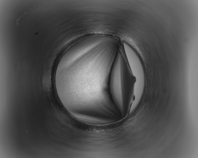 X0000088910531200707061347