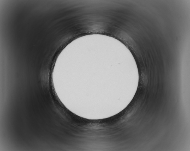 X0000088910534200707061347