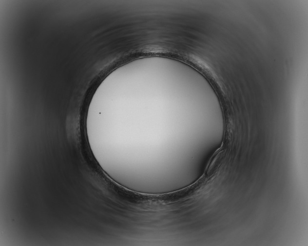 X0000088910535200707061347