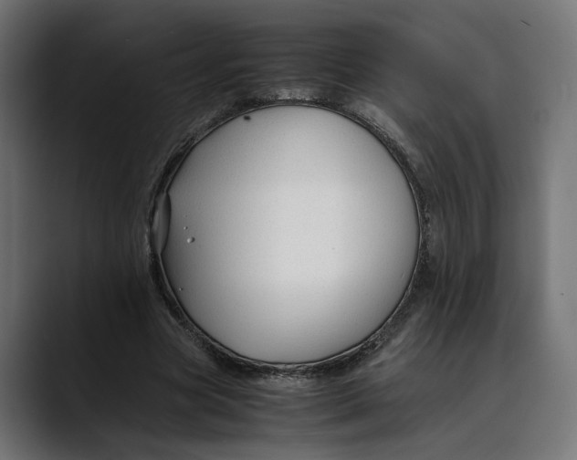 X0000088910537200707061347