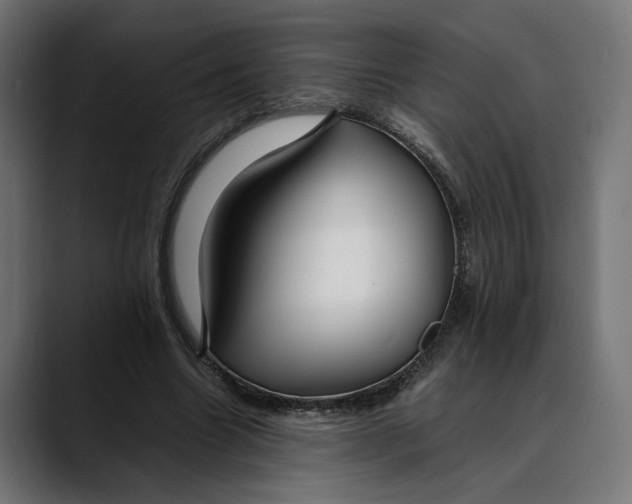 X0000088910538200707061347