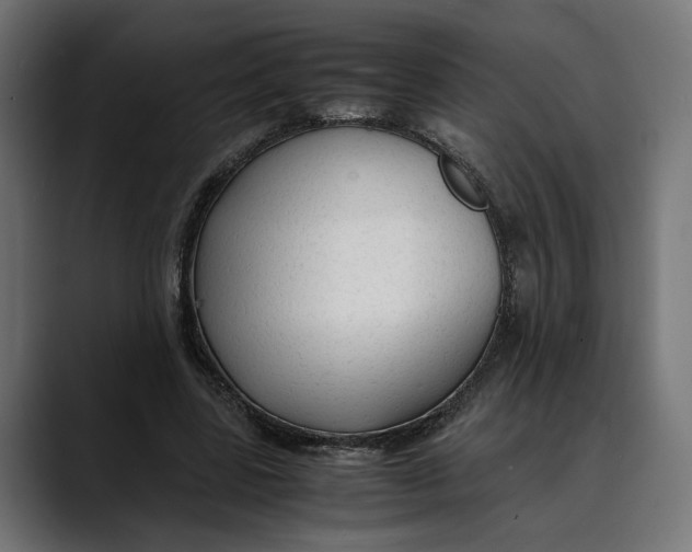 X0000088910539200707061347