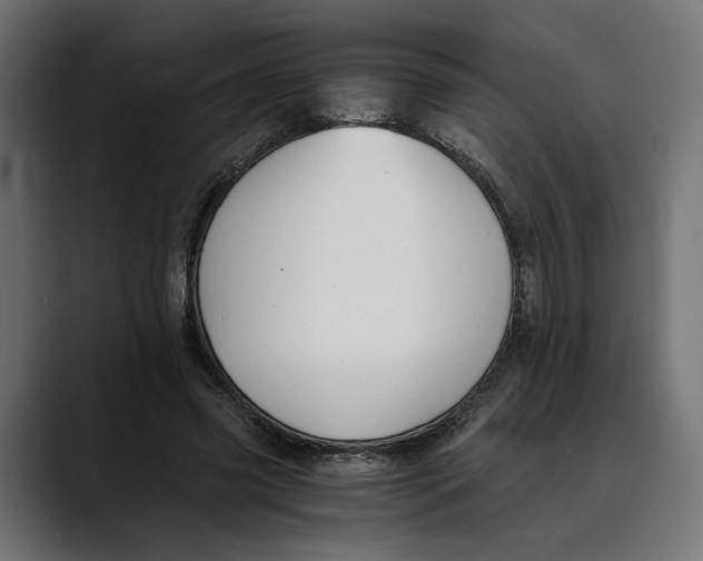 X0000088910541200707061347