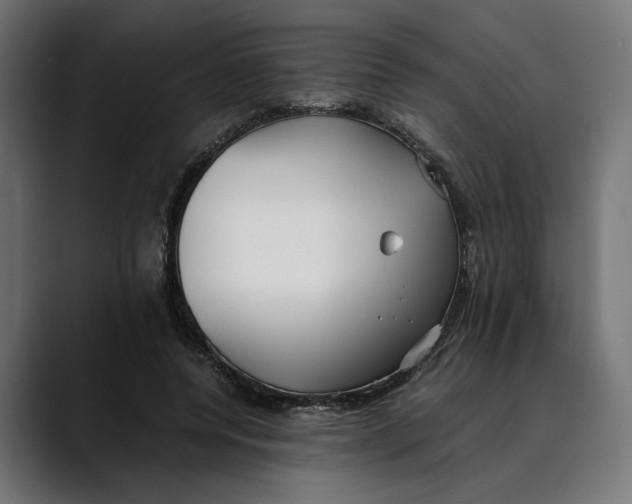 X0000088910544200707061347