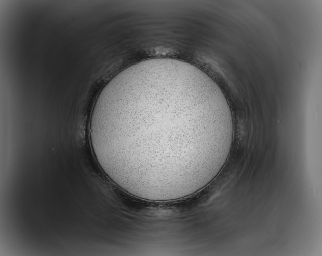 X0000088910545200707061347