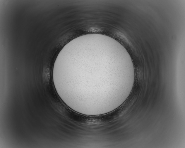 X0000088910549200707061347