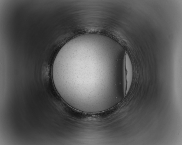 X0000088910550200707061347