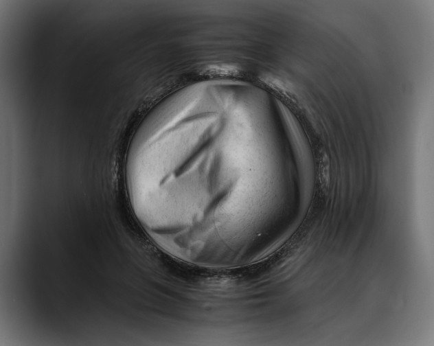 X0000088910551200707061347