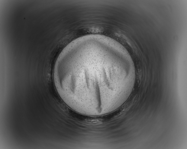 X0000088910553200707061347