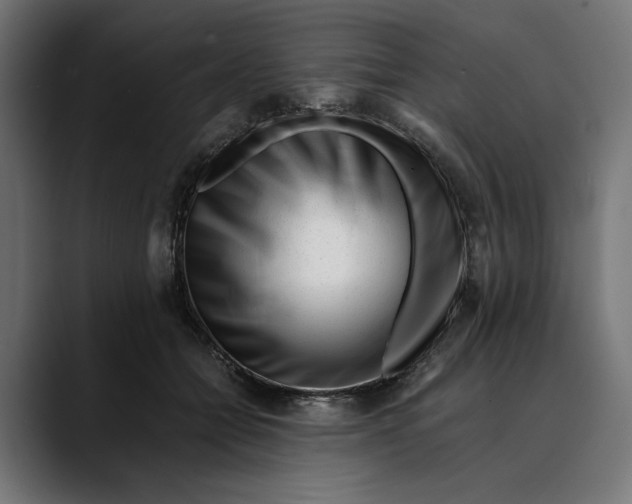 X0000088910558200707061347