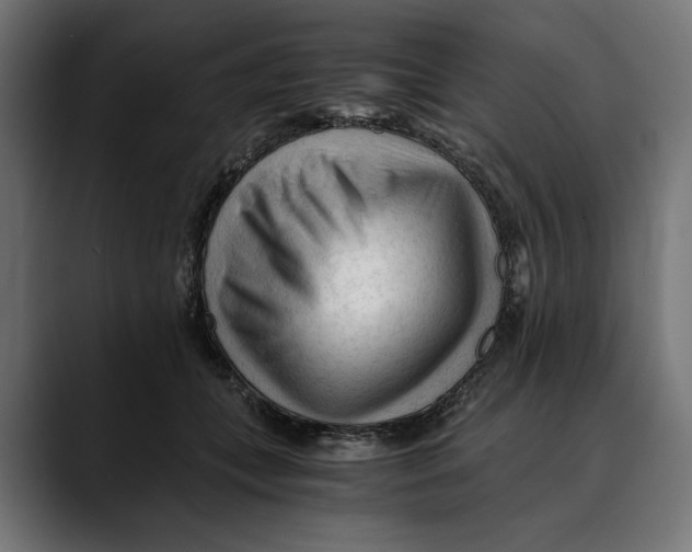 X0000088910559200707061347