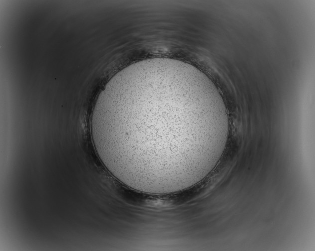 X0000088910561200707061347