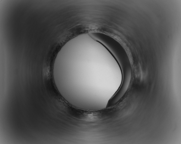 X0000088910564200707061347