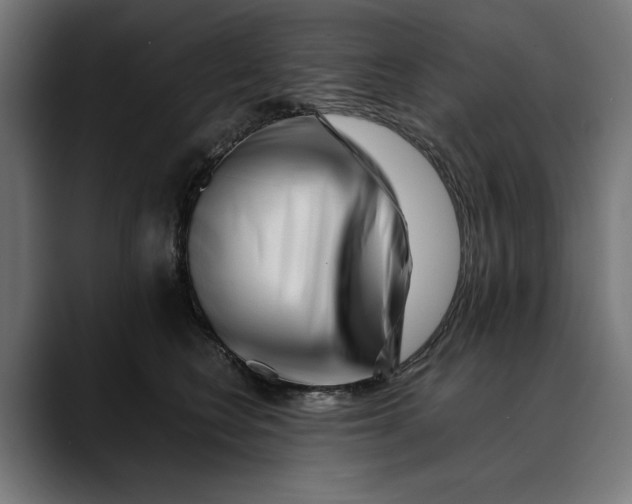 X0000088910566200707061347