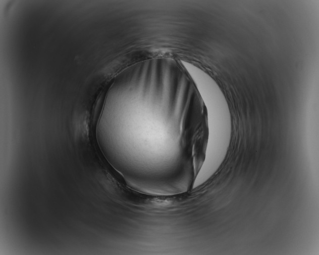 X0000088910570200707061347