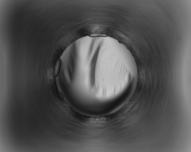 X0000088910571200707061347