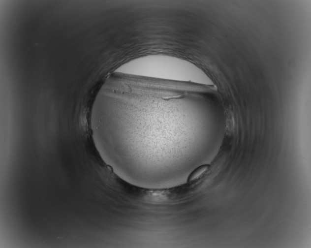 X0000088910573200707061347