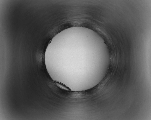 X0000088910574200707061347