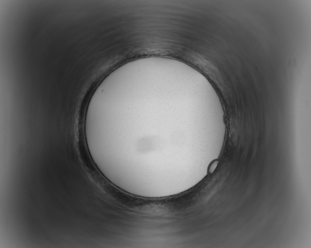 X0000088910578200707061347