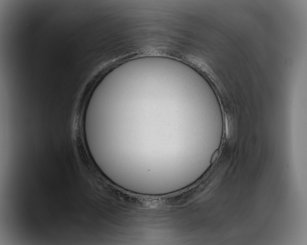 X0000088910579200707061347