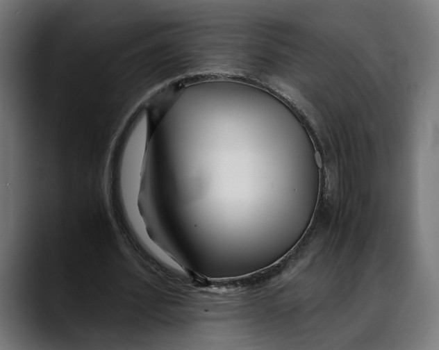 X0000088910580200707061347